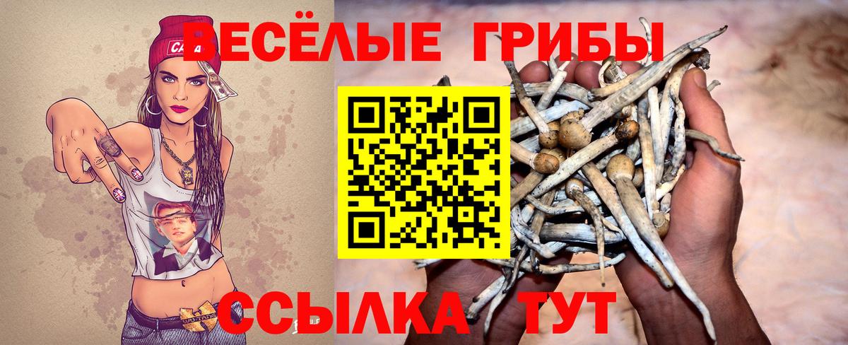 Псилоцибиновые грибы мицелий  Вход с VPN  Полысаево  Псилоцибиновые грибы прущие грибы 